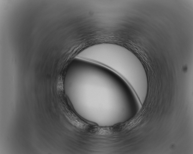 X0000096140384200801180857