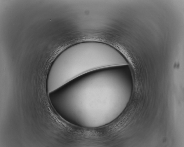 X0000096140385200801180856