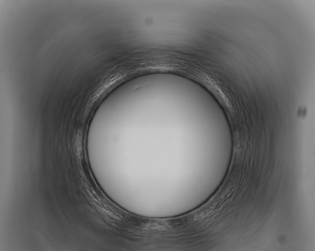 X0000096140386200801180856