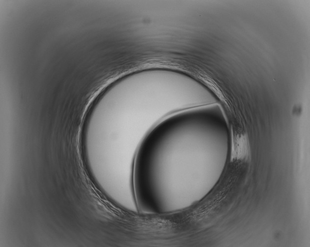 X0000096140387200801180856