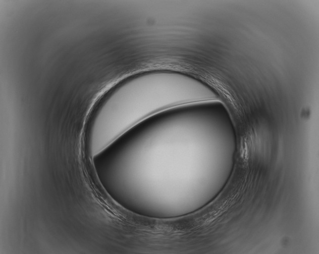 X0000096140388200801180856