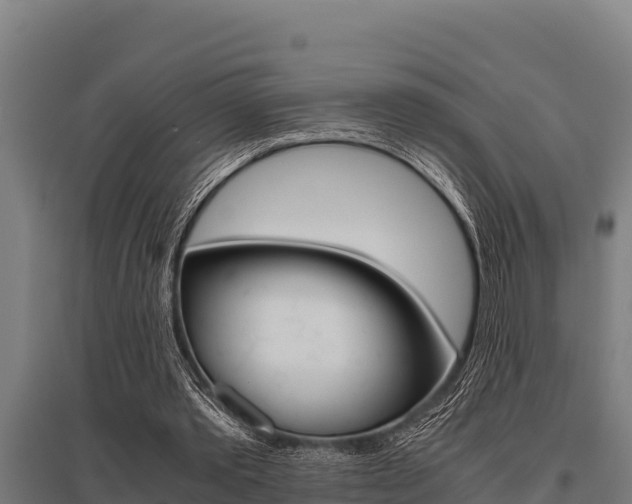 X0000096140389200801180856