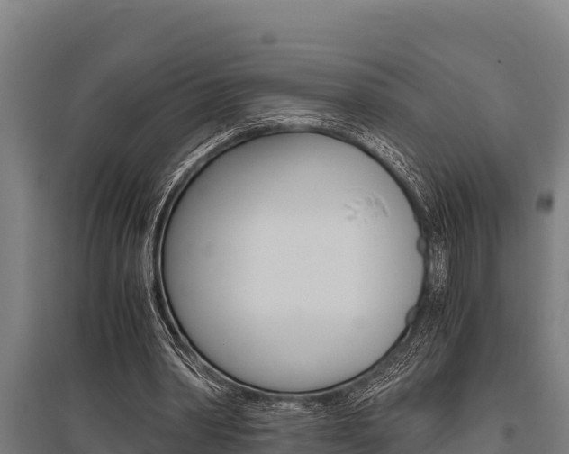 X0000096140390200801180856