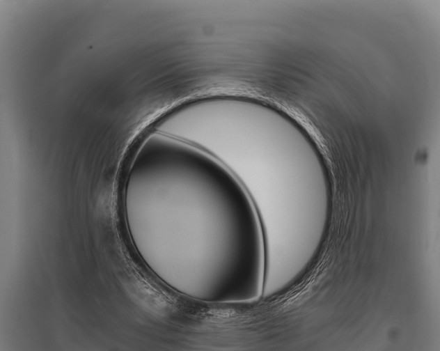 X0000096140391200801180856