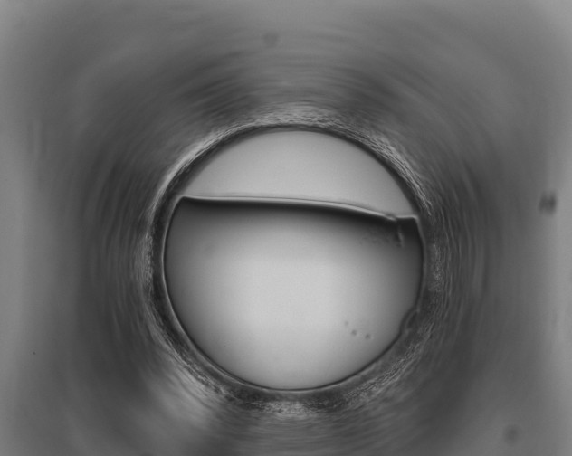 X0000096140392200801180856