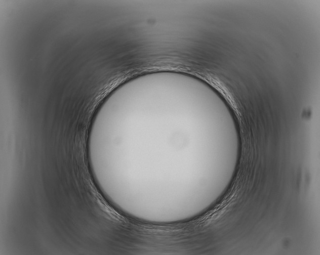 X0000096140393200801180856