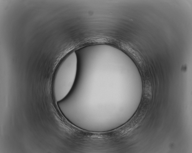 X0000096140394200801180856