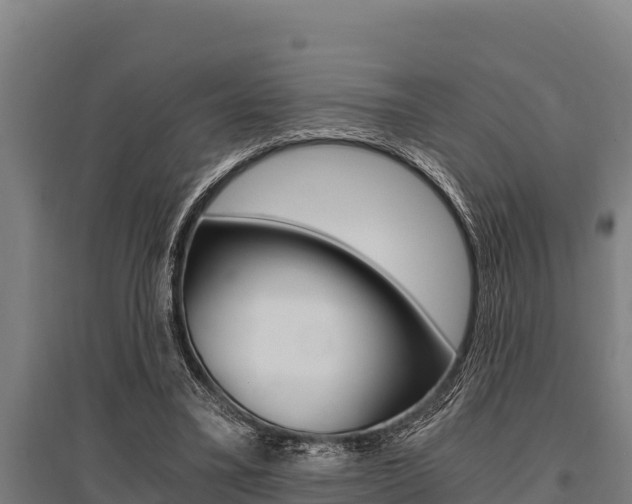X0000096140395200801180856