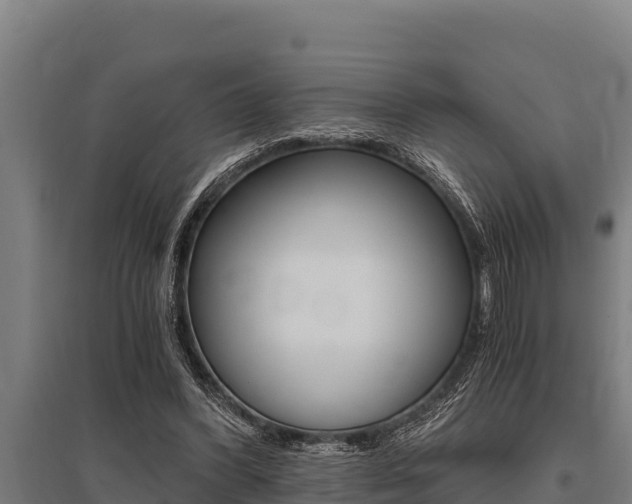 X0000096140396200801180856