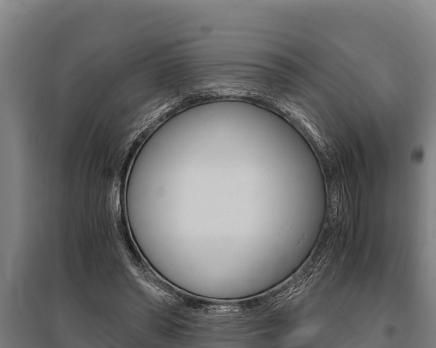 X0000096140398200801180856