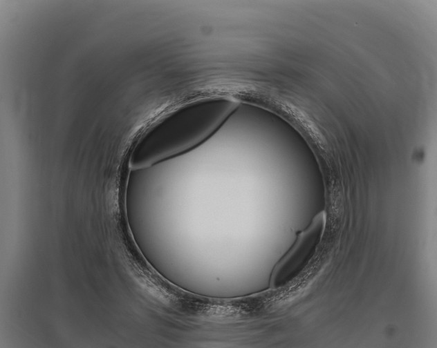 X0000096140399200801180856