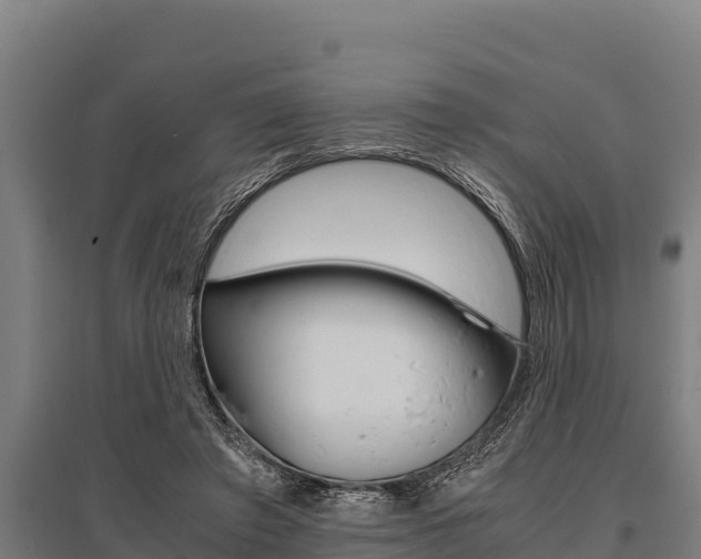 X0000096140401200801180856