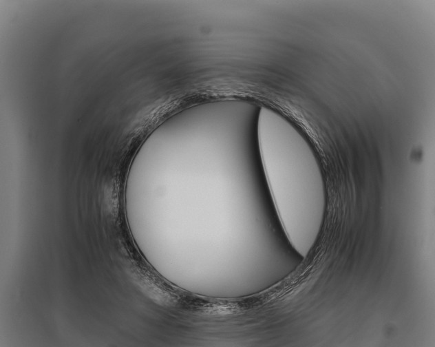 X0000096140402200801180856