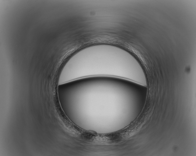 X0000096140403200801180856