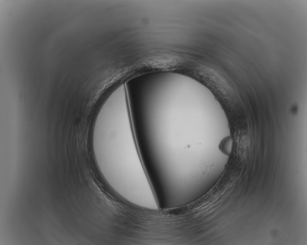 X0000096140404200801180856