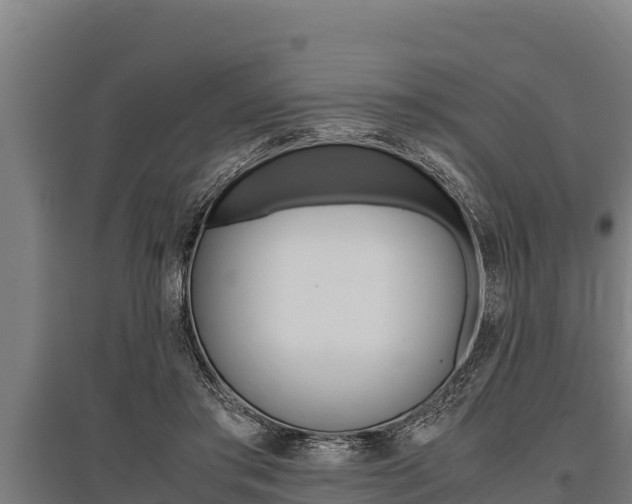 X0000096140405200801180856