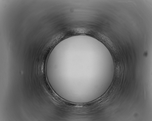 X0000096140406200801180856