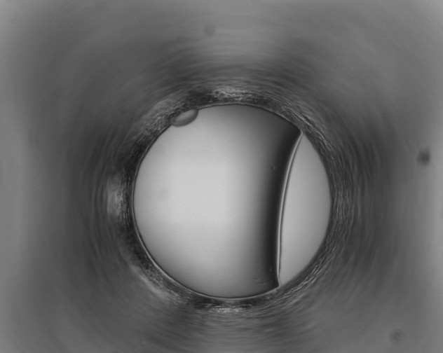 X0000096140408200801180856
