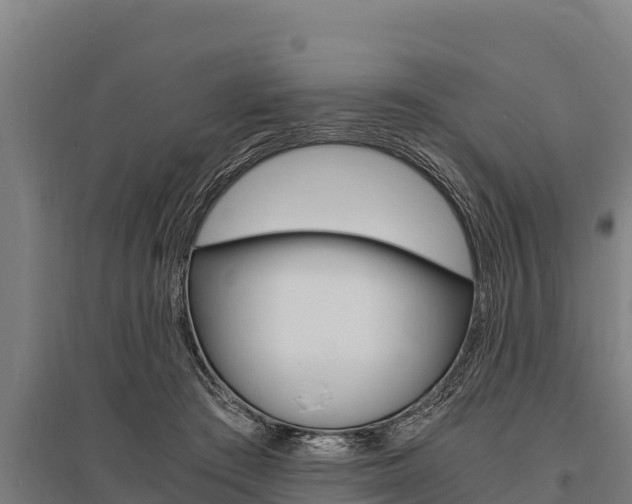 X0000096140409200801180856