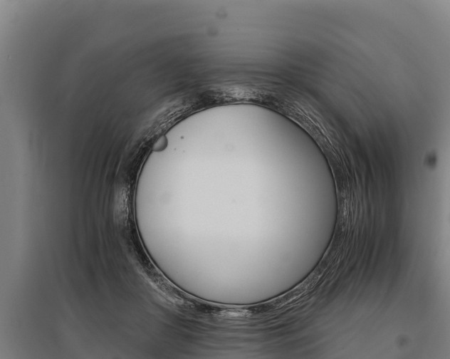 X0000096140410200801180856
