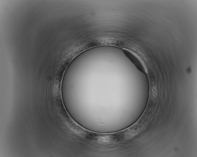X0000096140411200801180856