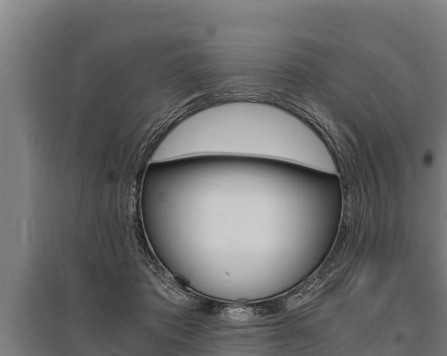 X0000096140413200801180856