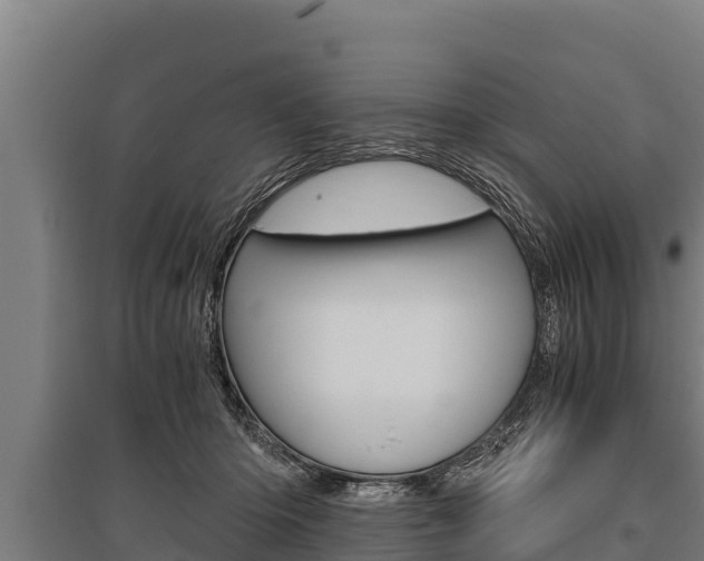 X0000096140414200801180856