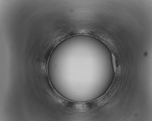 X0000096140415200801180856