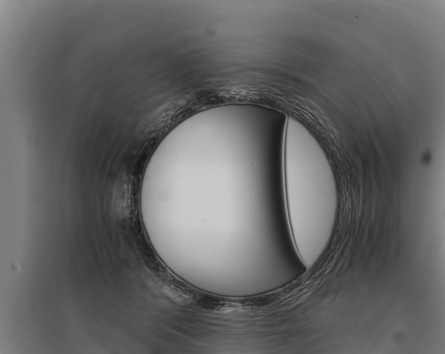 X0000096140416200801180856
