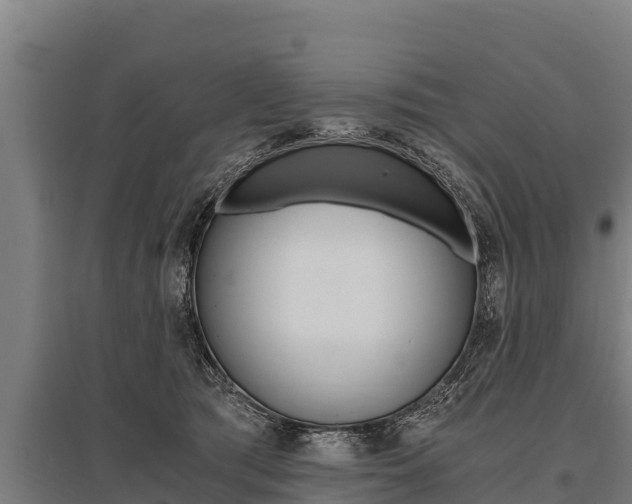 X0000096140417200801180856