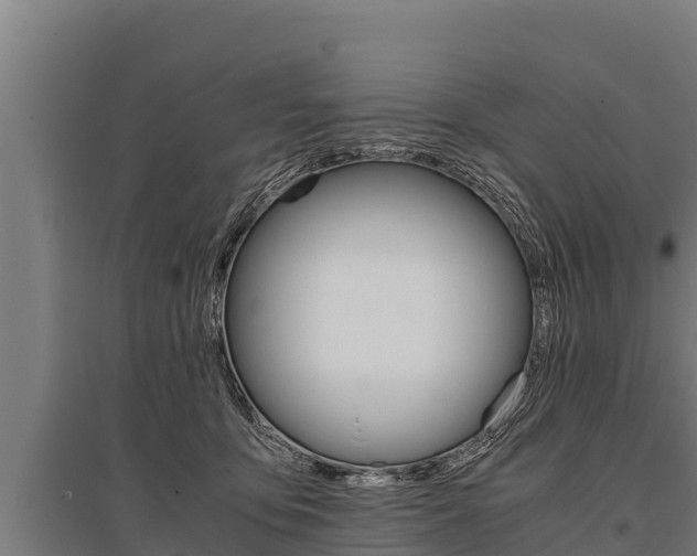 X0000096140419200801180856