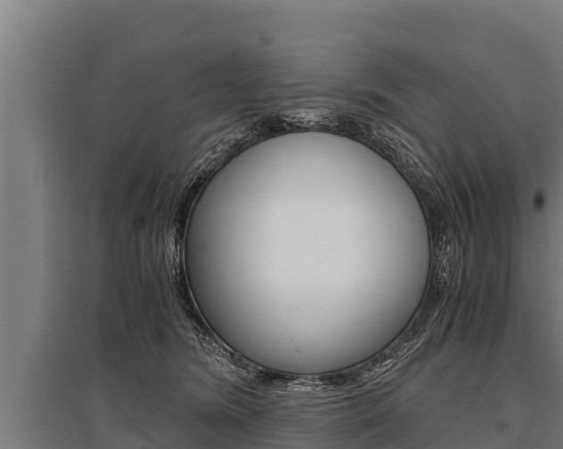 X0000096140420200801180856