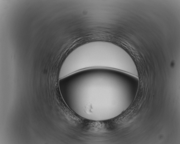 X0000096140421200801180856