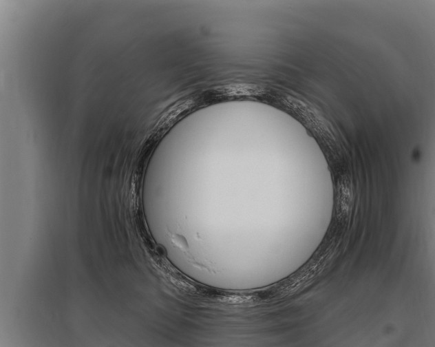 X0000096140422200801180856