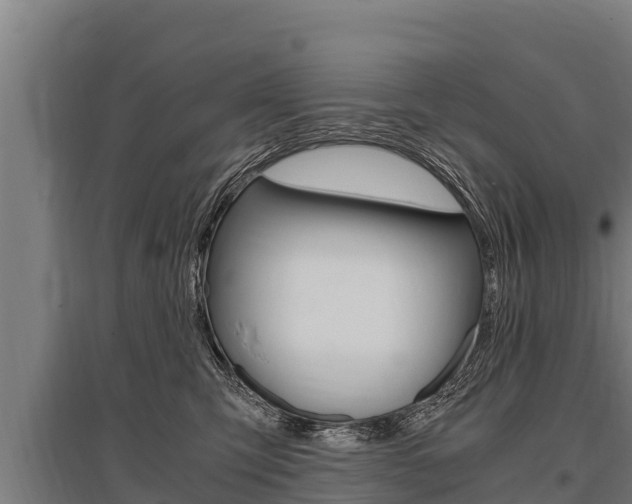 X0000096140423200801180856