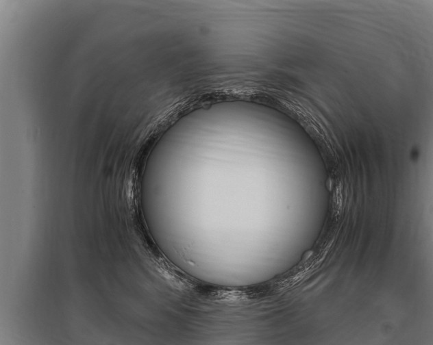 X0000096140424200801180856