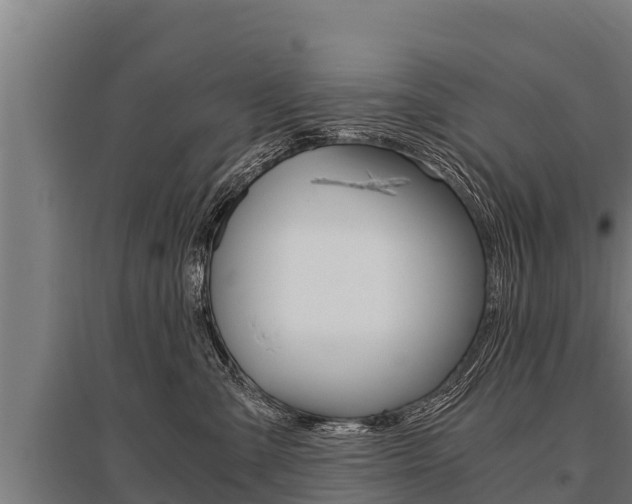 X0000096140427200801180856