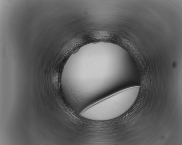 X0000096140428200801180856