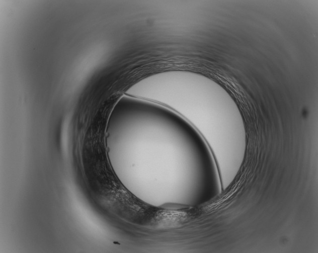 X0000096140429200801180856