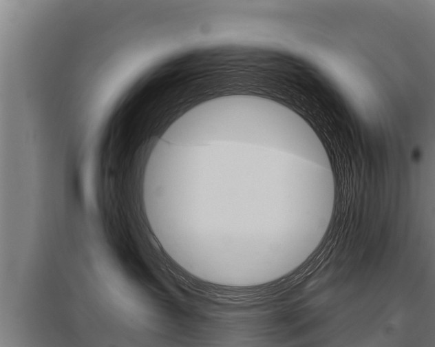 X0000096140431200801180856