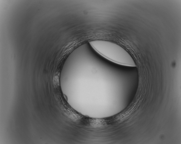 X0000096140432200801180856