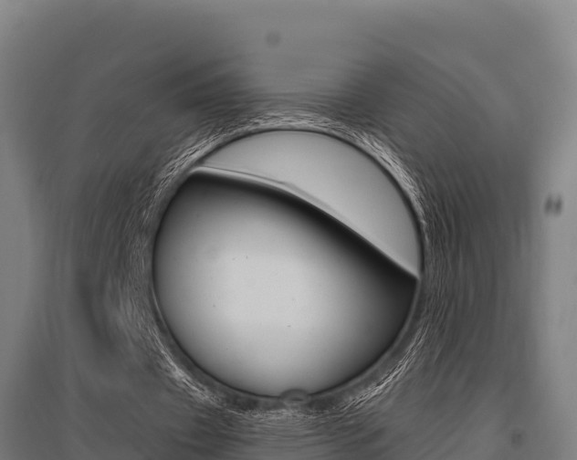 X0000096140433200801180855