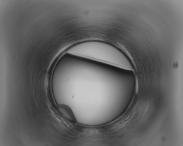 X0000096140435200801180855