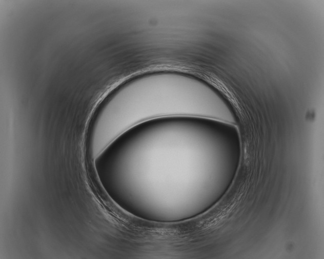 X0000096140436200801180855