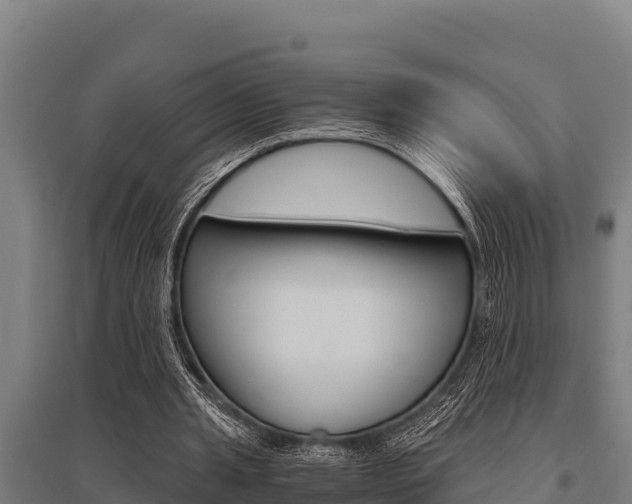 X0000096140437200801180855