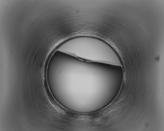 X0000096140438200801180855