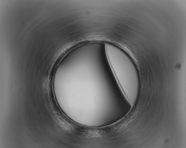 X0000096140439200801180855