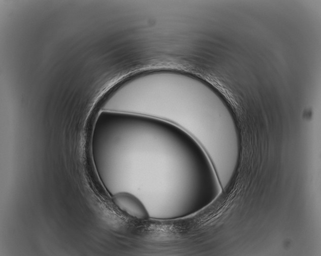 X0000096140440200801180855