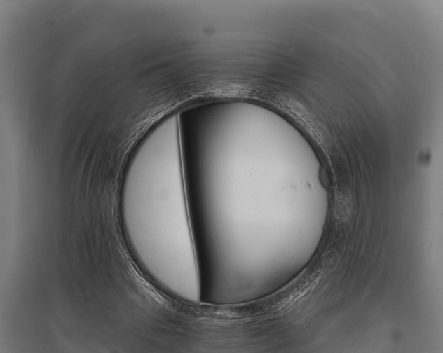 X0000096140441200801180855
