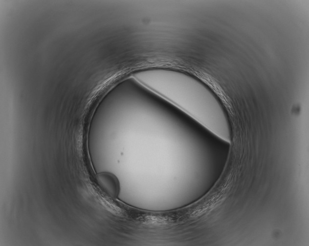X0000096140442200801180855